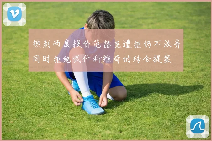 热刺两度报价范赫克遭拒仍不放弃同时拒绝武什科维奇的转会提案