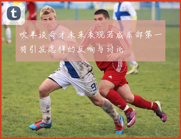 吹羊谈奇才未来表现若成东部第一将引发怎样的反响与讨论