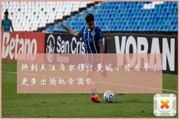 热刺关注马尔穆什曼城小将或寻求更多出场机会离队